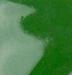 Esmalte verde